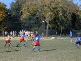 Click to see PA140043.JPG